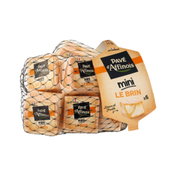 Pavé d’Affinois Filet mini Brin x6