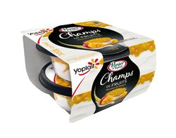 Champs de Fruits Morceaux de mangue