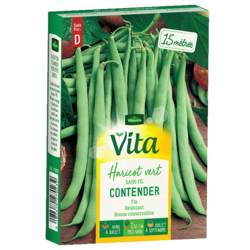 HARICOT CONTENDER - SEMIS POUR 15M