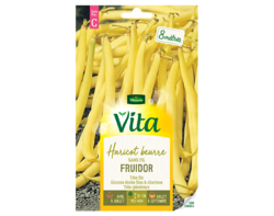 Haricot Fruidor Vita de Vilmorin