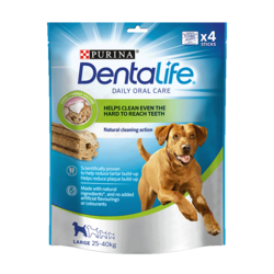 Dentalife® Daily Oral Care Large 115g