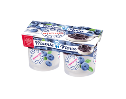 Double Plaisir Myrtille 2x140g