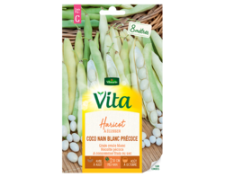 Haricot à écosser Coco nain blanc précoce