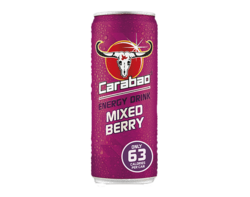 Mixed Berry 330ml