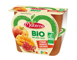 Pomme Mangue Grenade Bio 4x100g