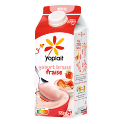 Yoplait en Brique
