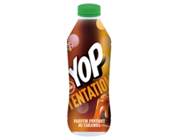 Yop Tentation Fondant au Caramel 500g