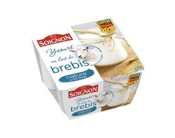 Yaourt nature au lait entier de brebis