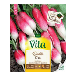RADIS LONG KIVA