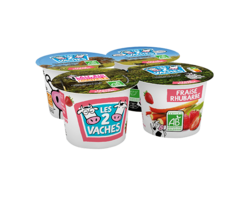 Yaourt Bio Brassé Fraise Rhubarbe 115gx4