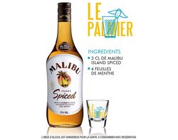 Le Palmier