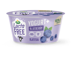 Blueberry Yogurt+ 150g