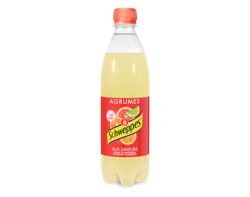 Schweppes Agrumes 50cl
