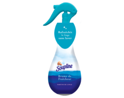 Brume de Fraîcheur Parfum Grand Air 250ml