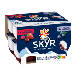 Yoplait Skyr Panaché 100g x8
