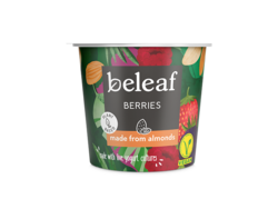 Berries Yogurt Alternative 120g
