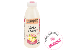 Vache à boire Banane Goyave 500 mL 