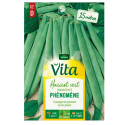 HARICOT PHENOMENE - SEMIS POUR 15M