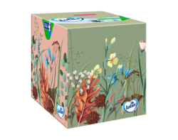 Lotus Boite Cubic x48