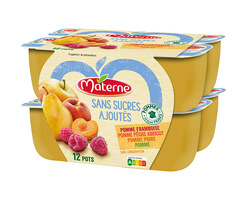 Multivariétés Fruits Jaunes 12x100g