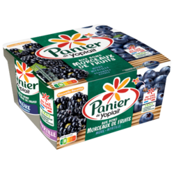 Panier de Yoplait Mûre - Myrtille 4x125g