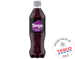 Dark Berry Sugar Free 500ml