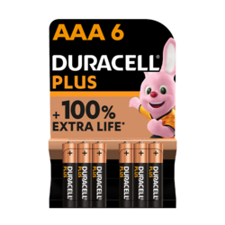 Duracell PLUS 100%  AAA X6