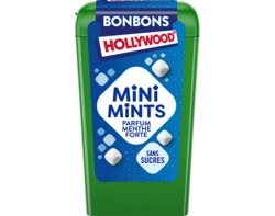 Mini Mints Parfum Menthe Forte - 12,5 g