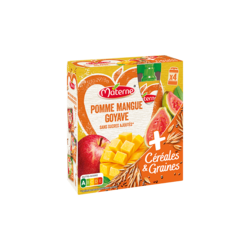 Pomme Mangue Goyave 4x90g