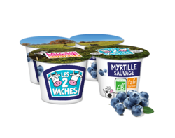 Brassé Myrtilles 115g x 4