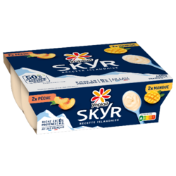 Yoplait Skyr Pêche Mangue 100g x4