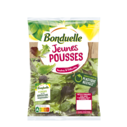 Jeunes Pousses Bonduelle 145g