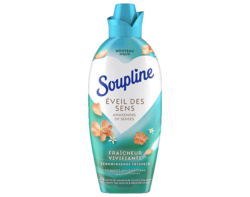 Soupline Eveil des Sens Vivifiant 1,08L