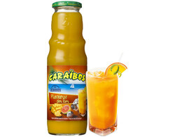 Caraïbos Planteur des îles