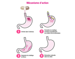 Oenobiol® Capteur 3 en 1