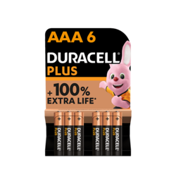 Duracell PLUS 100%  AAA X6
