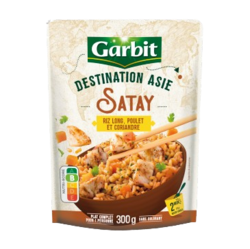 Satay, riz long, poulet et coriandre