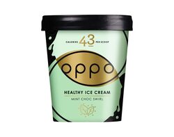 Mint Choc Swirl 500ml