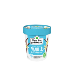 Crème glacée BIO Vanille de Madagascar