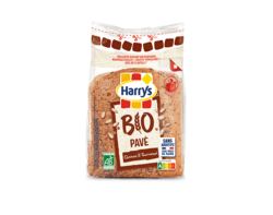 Pavé Bio Quinoa & Tournesol 250g