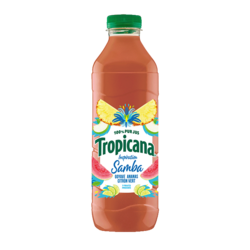 Inspiration Samba 1L 