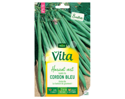 Haricot vert Cordon bleu Vita de Vilmorin
