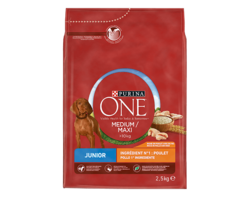 Chiot, Riche en Poulet, 2.5kg