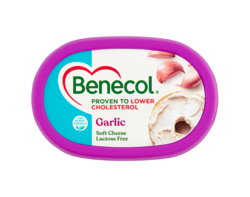 Garlic Soft Cheese