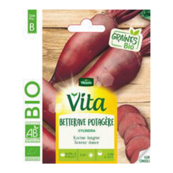 BETTERAVE CYLINDRA BIO