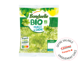 Feuille de Chêne BIO Bonduelle
