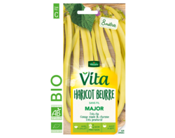 Haricot beurre Major bio Vita de Vilmorin