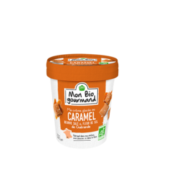 Crème glacée BIO Caramel et sel Guérande