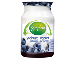 Yoghurt op Bosbes
