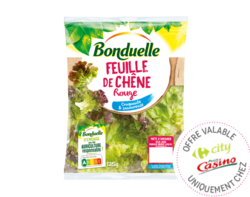 Feuille de Chêne Rouge Bonduelle